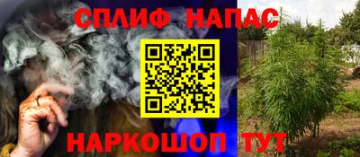шишки Тулун