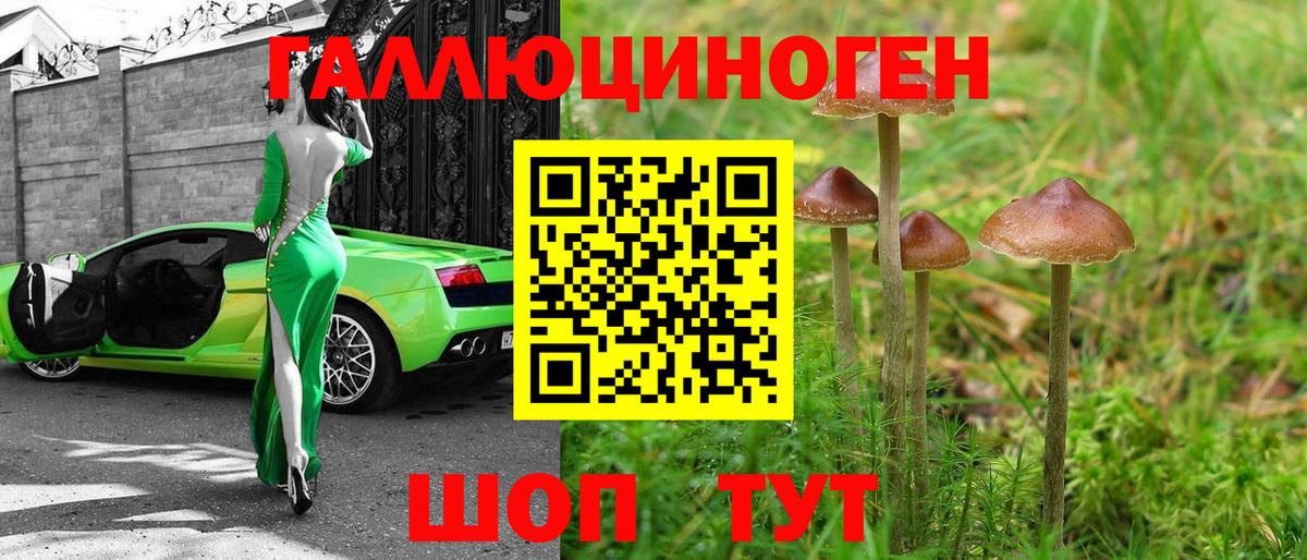 Галлюциногенные грибы GOLDEN TEACHER Серов