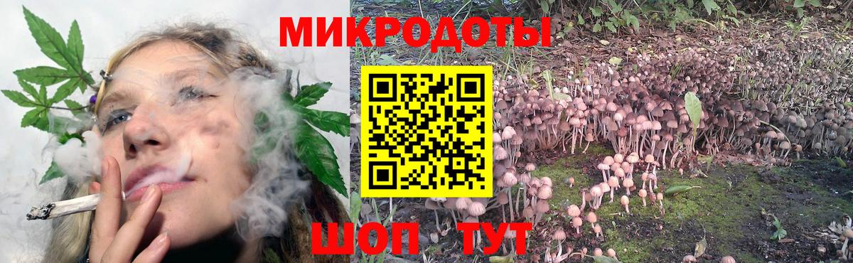 Серов  Псилоцибиновые грибы мухоморы  Вход с VPN 